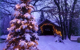 聖誕樹，雪，房屋，樹木 高清桌布