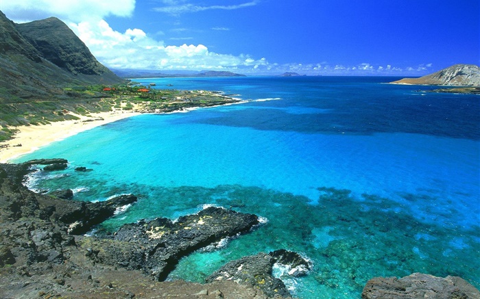 海岸，碧海藍天，夏威夷，美國 桌布 圖片