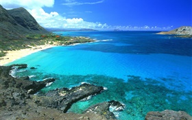 海岸，碧海藍天，夏威夷，美國 高清桌布