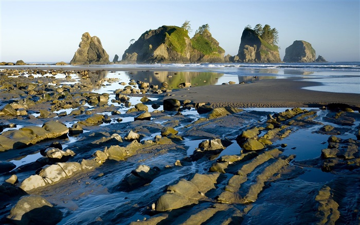 海岸，岩石，水，黃昏 桌布 圖片