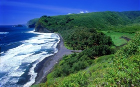 海岸，海水，沙灘，夏威夷，美國 高清桌布