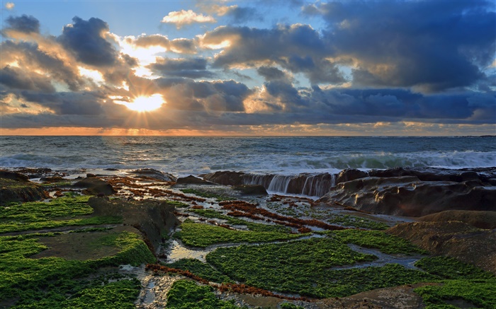 海岸，石頭，日落，雲海，太平洋 桌布 圖片
