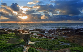 海岸，石頭，日落，雲海，太平洋 高清桌布