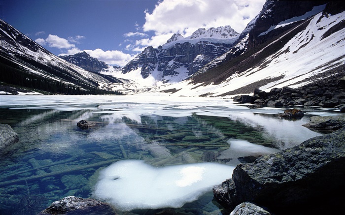 安慰湖，山，雪，班夫國家公園，加拿大阿爾伯塔省 桌布 圖片