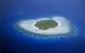 珊瑚礁，密克羅尼西亞，海，島