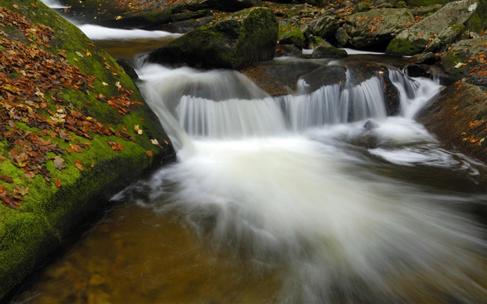小河，溪流，岩石，秋天 桌布 圖片