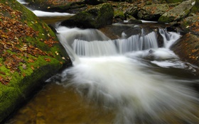小河，溪流，岩石，秋天 高清桌布