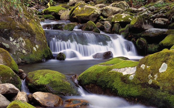 小溪，瀑布，石頭，青苔，自然風光 桌布 圖片