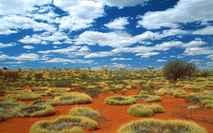 沙漠，草地，雲，澳大利亞 桌布 圖片
