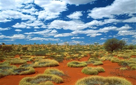 沙漠，草地，雲，澳大利亞 高清桌布