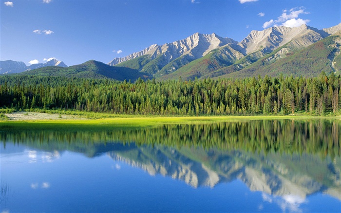 狗湖，山，林，庫特尼國家公園，加拿大不列顛哥倫比亞省 桌布 圖片