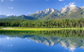 狗湖，山，林，庫特尼國家公園，加拿大不列顛哥倫比亞省