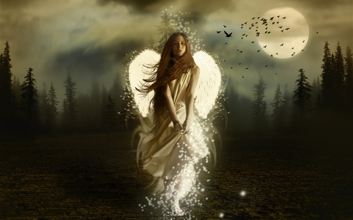 幻想天使女孩，白色的翅膀，夜，月亮，鳥 桌布 圖片