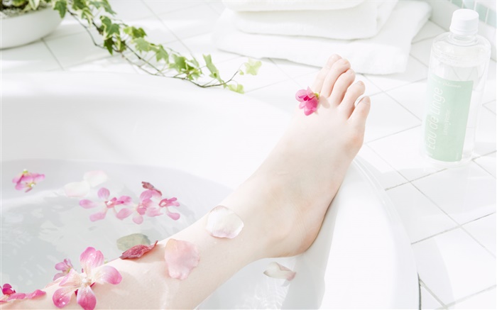 女孩的腿，花瓣，浴缸，SPA主題 桌布 圖片