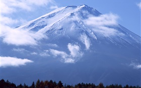 大山，富士山，雲，日本
