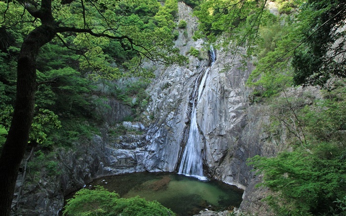 大自然，瀑布，懸崖，湖泊，樹木，日本北海道 桌布 圖片