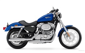 哈雷戴維森摩托車883，藍色和黑色 高清桌布