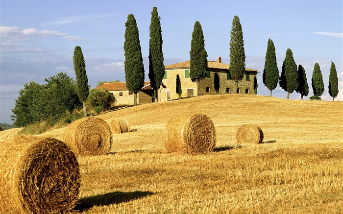 幹草堆，田野，房屋，樹木，意大利 桌布 圖片