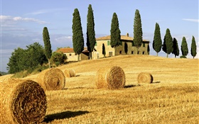 幹草堆，田野，房屋，樹木，意大利 高清桌布