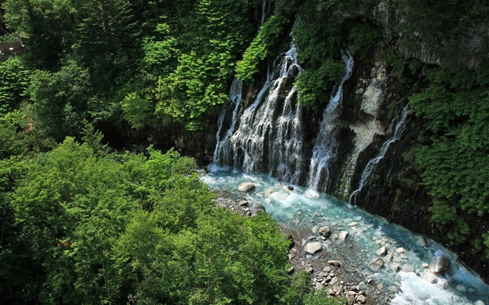 日本北海道，瀑布，小溪，懸崖，植物 桌布 圖片