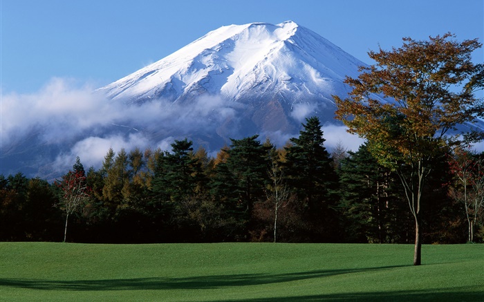 日本的富士山，雪，樹，草，霧 桌布 圖片
