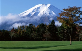 日本的富士山，雪，樹，草，霧