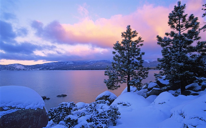 太浩湖，冬季，雪，樹木，黃昏，美國 桌布 圖片