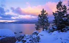 太浩湖，冬季，雪，樹木，黃昏，美國