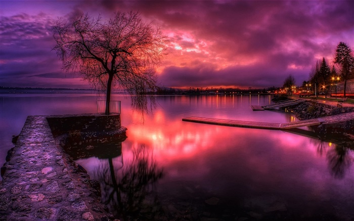 湖，紅色的天空，夕陽，雲，樹，燈 桌布 圖片