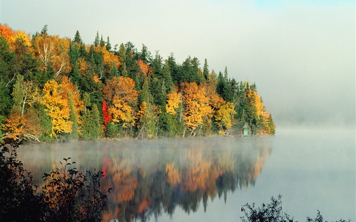湖泊，樹木，霧，早晨，秋 桌布 圖片