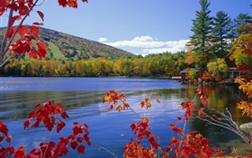 湖泊，樹木，房子，秋