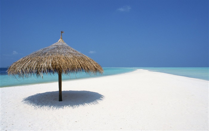 馬爾代夫，沙灘，大海，遮陽篷 桌布 圖片
