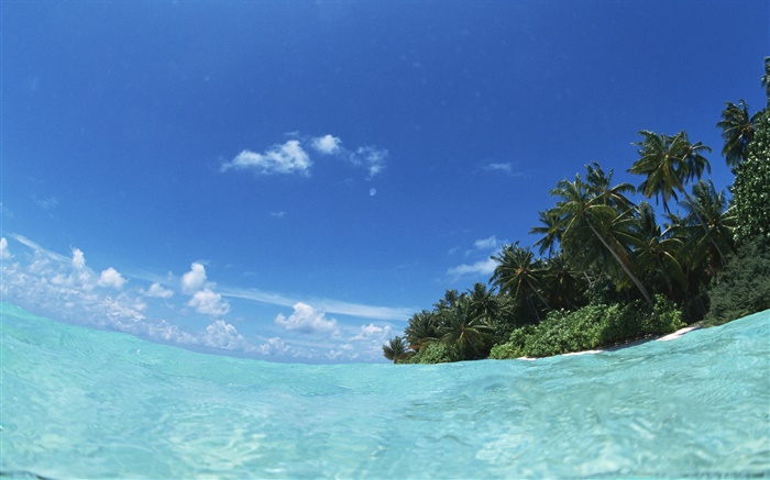 馬爾代夫，藍色的海，水，島 桌布 圖片