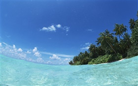 馬爾代夫，藍色的海，水，島 高清桌布