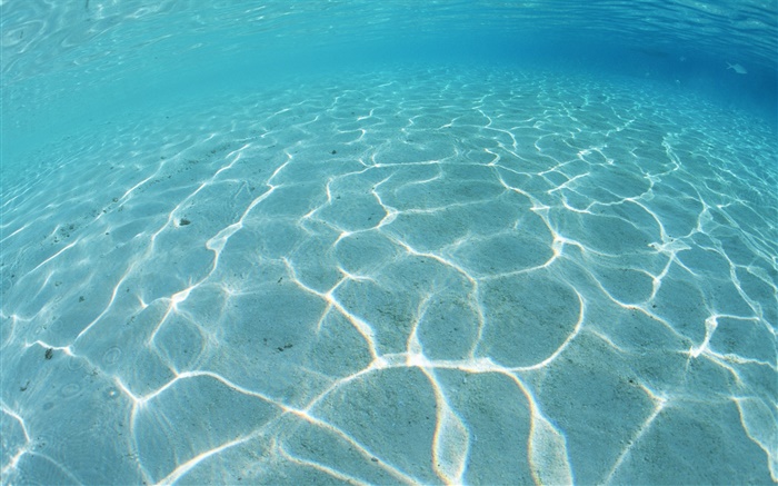 馬爾代夫，淺淺的沙灘，湛藍的海水，水 桌布 圖片