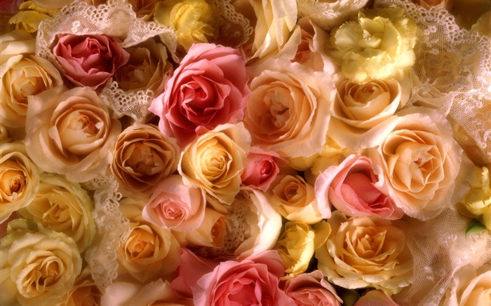 許多玫瑰鮮花，黃色和粉紅色 桌布 圖片