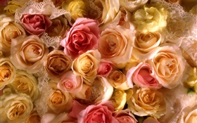 許多玫瑰鮮花，黃色和粉紅色