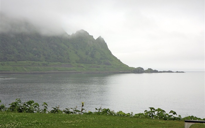 早晨，霧，山，海，海岸，草，日本北海道 桌布 圖片