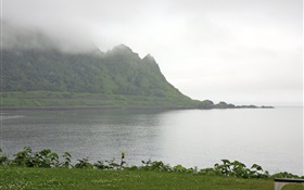 早晨，霧，山，海，海岸，草，日本北海道 高清桌布