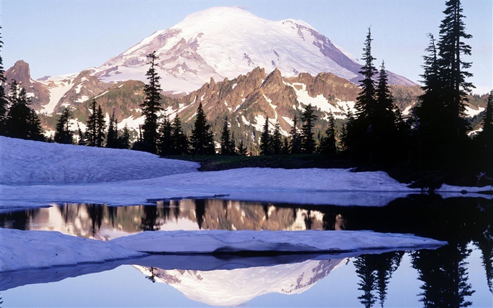 雷尼爾山，Tipsoo湖，山，樹，雪，華盛頓，美國 桌布 圖片
