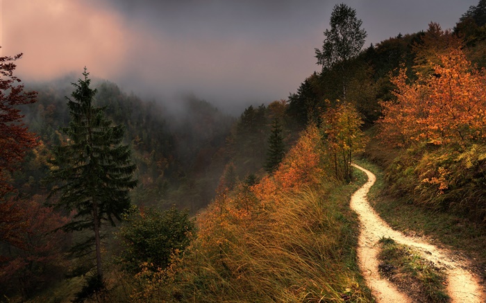 山，霧，樹木，人行道，秋季 桌布 圖片