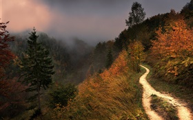 山，霧，樹木，人行道，秋季 高清桌布
