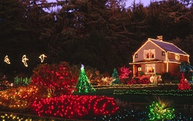 夜晚，五彩的燈光，房子，聖誕 高清桌布