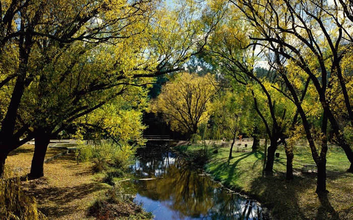 公園，河流，樹木，澳大利亞 桌布 圖片
