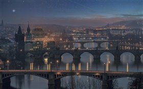 布拉格，捷克共和國，橋樑，河流，房屋，夜，燈 高清桌布