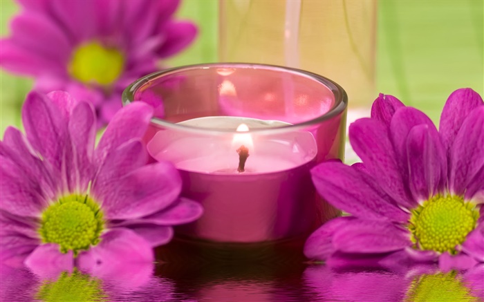 紫色的菊花，蠟燭，火，SPA主題 桌布 圖片