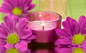 紫色的菊花，蠟燭，火，SPA主題