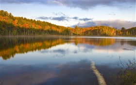 寧靜的湖泊，樹木，霧，早晨，秋