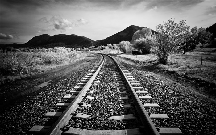 鐵路，樹木，山，黑白色款式 桌布 圖片