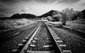 鐵路，樹木，山，黑白色款式 高清桌布